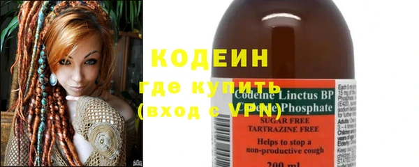 шишки Нея