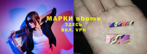 стафф Арсеньев
