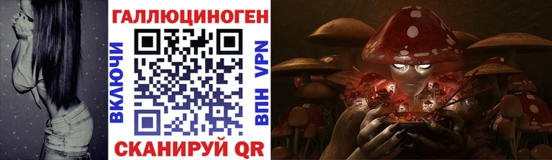 Галлюциногенные грибы Cubensis  Кувшиново 